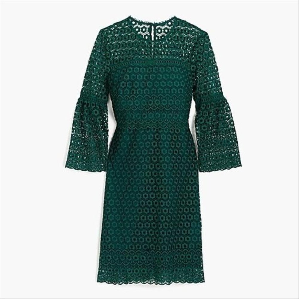 J. Crew Daisy Lace Dress